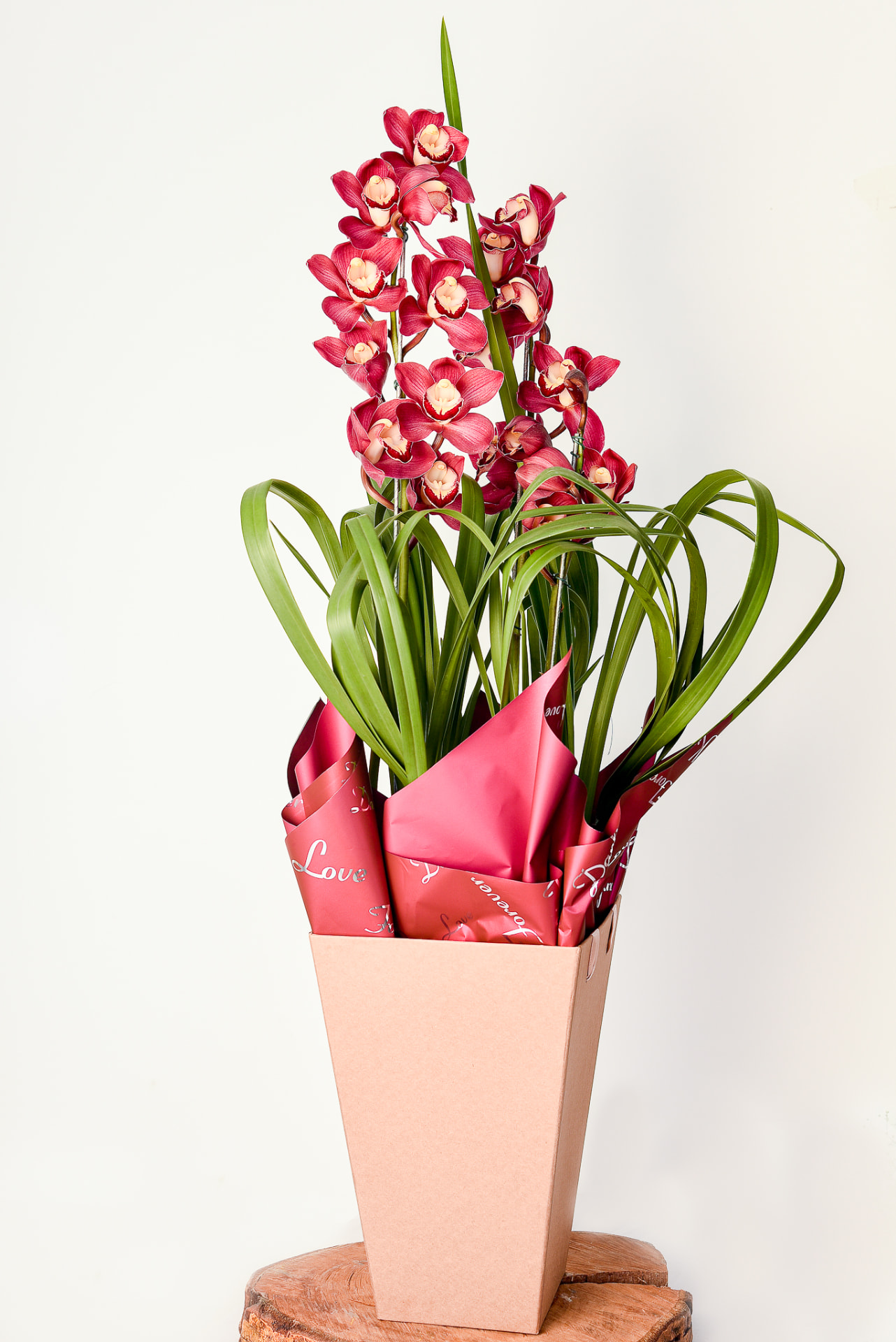 Orquidea Cymbidium vermelha em embalagem metalizada